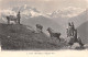 74-MONT BLANC-N°5143-H/0059 - Other & Unclassified