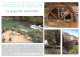 84-FONTAINE DE VAUCLUSE-N°4197-B/0377 - Otros & Sin Clasificación