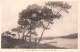 50-ILES CHAUSEY-N°5144-E/0019 - Sonstige & Ohne Zuordnung