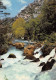 84-FONTAINE DE VAUCLUSE-N°4199-B/0073 - Other & Unclassified