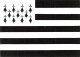 29-DRAPEAU BRETON-N°4200-A/0143 - Autres & Non Classés