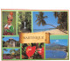 972-MARTINIQUE-N°4200-D/0095 - Other & Unclassified
