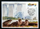 Singapore Otters 2024 Fauna Wildlife Otter Mammals (ATM Machine Label Maxicard) - Singapour (1959-...)