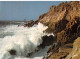 29-LA POINTE DU RAZ-N°4201-A/0381 - La Pointe Du Raz