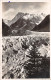 74-CHAMONIX-N°4201-E/0377 - Chamonix-Mont-Blanc