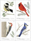 USA 2018 MiNr. 5537 - 5540 Etats-Unis United States Birds In Winter    4v   MNH** 25,00 € - Altri & Non Classificati