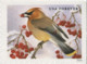 USA 2016 MiNr. 5320 - 5323 USA 2016 MiNr. 5320 - 5323 Etats-Unis United States Birds Songbirds In Snow  4v MNH** 5,00 € - Andere & Zonder Classificatie