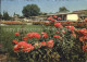 11947037 Zuerich Gartenbauausstellung Zuerich - Andere & Zonder Classificatie