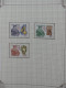 Delcampe - Vatikan Postfrisch Besammelt Auf Borek Seiten #LZ039 - Sonstige & Ohne Zuordnung