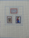 Delcampe - Vatikan Postfrisch Besammelt Auf Borek Seiten #LZ039 - Altri & Non Classificati