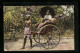 AK Colombo, Tamil Lady In Rikshaw, Dame In Rikscha  - Andere & Zonder Classificatie