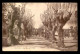 ALGERIE - CHERCHELL - UNE ALLEE DE LA PLACE - Other & Unclassified