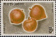 Cambodge Poste N** Yv: 122/124 Fruits - Cambodge