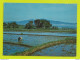 INDONESIE Indonesia CENTRAL JAWA A Rural Scene The Fertile Rice-fields Culture Du Riz En 1979 VOIR DOS 2 BEAUX TIMBRES - Indonesia