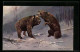 Künstler-AK M. Müller Jun.: Kämpfende Bären Im Winterlichen Wald  - Autres & Non Classés