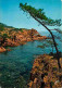 83 - L'Esterel - Le Trayas - CPM - Voir Scans Recto-Verso - Andere & Zonder Classificatie