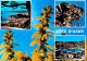 06 - Alpes Maritimes - La Cote D'Azur - Multivues - Mimosas En Fleurs - CPM - Carte Neuve - Voir Scans Recto-Verso - Sonstige & Ohne Zuordnung