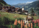 11865707 Grimentz Val D Anniviers Panorama Grimentz - Andere & Zonder Classificatie