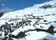 11865497 Bettmeralp VS Panorama Bettmeralp - Other & Unclassified