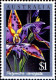 Australie Poste N** Yv: 973/976 Orchidées Australiennes (Thème) - Mint Stamps
