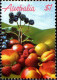 Australie Poste N** Yv: 990/993 Fruits (Thème) - Ungebraucht