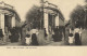 Carte Stereo PARIS Jardin Des Plantes Cage Aux Serpents  Pionnière RV - Parken, Tuinen