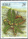 Irlande Poste N** Yv: 589/591 Faune & Flore 9.Serie Fougères - Nuevos