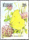 Irlande Poste N** Yv: 562/565 Faune & Flore 8.Serie Papillons - Unused Stamps