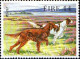 Irlande Poste N** Yv: 506/510 Faune & Flore 6.Serie Chiens De Race - Neufs