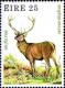 Irlande Poste N** Yv: 424/427 Faune & Flore 3.Serie Animaux Sauvages - Ungebraucht