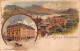 Suisse - LU - LUCERNE - Hotel Du Rutli, A. Disler-Felder Propriétaire - Lithographie Müller & Trüb, Aarau - Précurseur - Lucerne