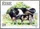 Irlande Poste N** Yv: 628/631 Faune & Flore 10.Serie Races Bovines - Cows