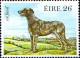 Irlande Poste N** Yv: 506/510 Faune & Flore 6.Serie Chiens De Race - Dogs