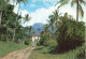 FRANCE - Guadeloupe - Saint Claude - Habitation Au Pied De La Soufrière - Vue Générale - Carte Postale - Andere & Zonder Classificatie