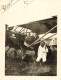 Romans Sur Isère * 2 Photos Anciennes * Aviation * Aéro Club Chef Pilote Aviateur * Avion * 18.5x14cm & 17.5x24cm - Romans Sur Isere