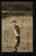 Künstler-AK Alfred Mailick: Vogel Im Wasser Am Waldrand  - Mailick, Alfred