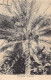Kenya - MOMBASA - Palm Dates - Publ. Felix Coutinho  - Kenya
