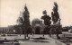 Palestine - JERUSALEM - Al-Aqsa Mosque - REAL PHOTO - Publ. Unknwon  - Palestine