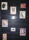 Delcampe - Katten - Collections (en Albums)