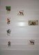 Delcampe - Paarden - Collections (with Albums)