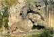 90 - Belfort - Le Lion De Belfort - CPM - Voir Scans Recto-Verso - Belfort - City