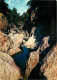 66 - Amélie Les Bains - Les Gorges Du Mondony - CPM - Voir Scans Recto-Verso - Other & Unclassified