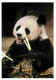 Animaux - Panda - Collection Vie Sauvage - Don Cari Steffen - Panda Hsing Hsing - CPM - Carte Neuve - Voir Scans Recto-V - Sonstige & Ohne Zuordnung