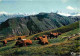 Animaux - Vaches - Savoie - En Maurienne - - Troupeau à L'heure De La Sieste - Au Fond Les Aiguilles D'Arves - Montagnes - Kühe