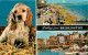 Animaux - Chiens - Cocker - Chiots - Bridlington - Multivues - Bateaux - Marchand De Glace - CPM - Voir Scans Recto-Vers - Hunde