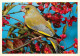 Animaux - Oiseaux - Verdier - Carte Neuve - CPM - Voir Scans Recto-Verso - Birds