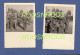 LOT DE 7 PHOTOS - MAROC - 1ER REGIMENT DE TIRAILLEURS MAROCAINS - REMISE DES FOURRAGERES - 1953 - Guerre, Militaire