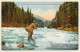 USA: Trout Fishing At Skykomish River (Vintage PC 1910s ) - Pesca