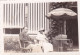Photo 9.0 X 6.3 -  PAU   (64 ) A La Terrasse De L Hotel De L Europe  - Aout 1934 - Places
