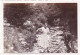Photo 9.0 X 6.3 -  EAUX BONNES   (64 )  Dans Le Lit Du Torrent  - Aout 1934 - Places